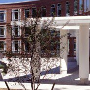 Babson’s Entrepreneurship Center Gets New Leader