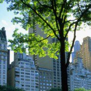 Stern Creates New MS in Accounting Program