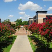 Cameron School of Business – University of St. Thomas