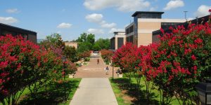 Cameron School of Business – University of St. Thomas