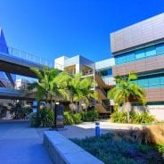 Rady School of Management – UC San Diego