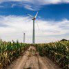 windmill sustainabililty