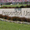 pepperdine university