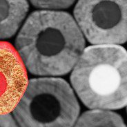 5 Ways that an MBA Sets You Apart from Your Peers