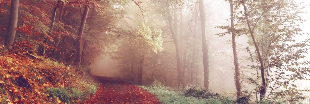 change of seasons signifying desire to switch your career