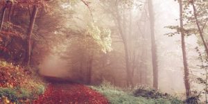 change of seasons signifying desire to switch your career