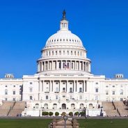 Industry Spotlight: Government in Washington, DC