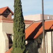 San Jose State University Maintains AACSB Accreditation