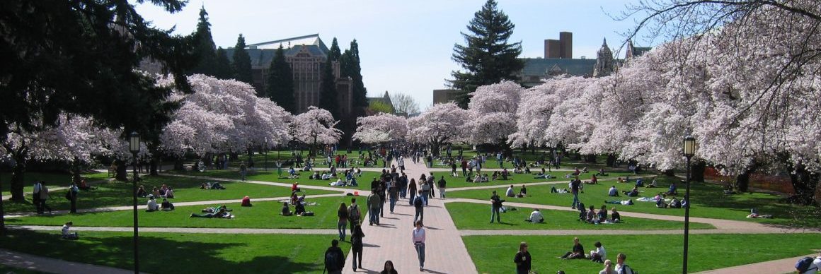 ワシントン大学　ペナント　University of Washington Vintage University of Washington Pennant UW Seattle, WA 22