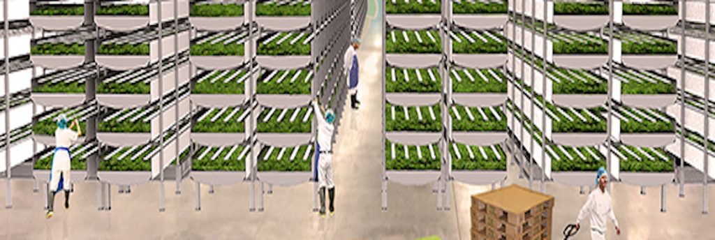 aerofarms vertical farming