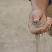 Why Experiential Learning is Vital to the MBA