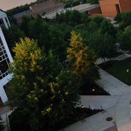 Alumni Profile: Brock Walker, George Mason MBA ‘14