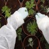 Stanford Cannabis Investment
