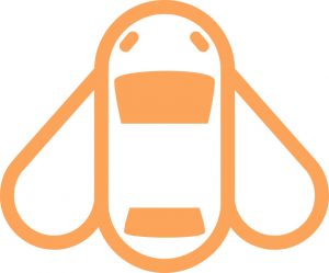 parking-bee