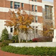 Smith Alum Talks EMBA, International Work Experience