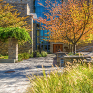 Sellinger Earns High Ranks from Princeton Review, U.S. News