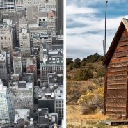 Urbanization And Populism Clash, Says Ted Rogers Faculty