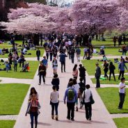 Your Guide To The University Of Washington Dual MBA