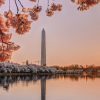 Washington DC Part-Time MBA