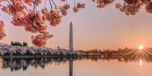 Washington DC Part-Time MBA