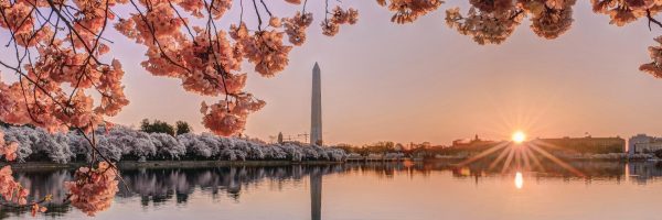 Washington DC Part-Time MBA