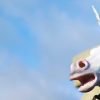 Stanford unicorn study