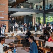 Master of Science in Entrepreneurship