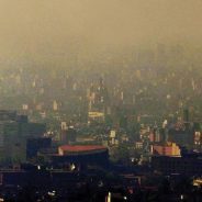 Berkeley-Haas Prof Advocates For Stricter Fuel Standards to Reduce Ozone in Mexico City