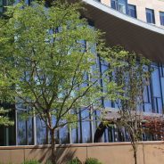 MIT Sloan Startup/Entrepreneur Spotlight