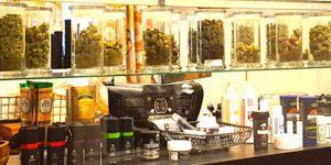 USC Marijuana Dispensary Study