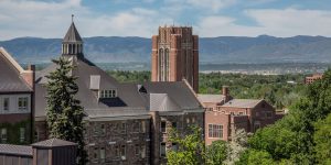 denver daniels college of business