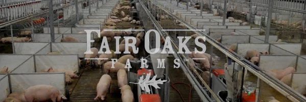 georgetown fair oaks farms