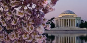 Washington DC Nonprofit MBAs