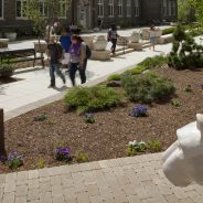 How the Penn State MBA Became a Bloomberg Businessweek Favorite