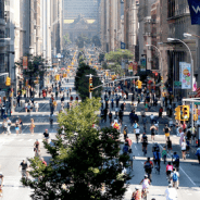 New York News: How Climate Change is Effecting Your Mood, and More