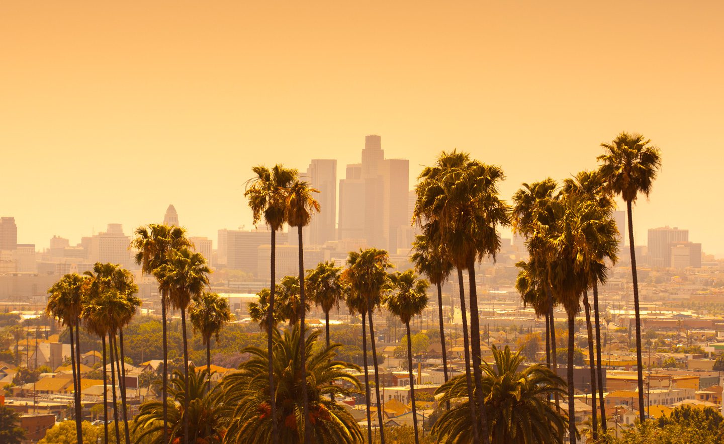 Prepagos En Los Angeles