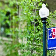 American University – Business@American