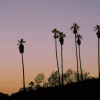 East LA Incubator