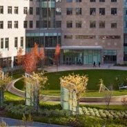 Analyzing Credit, Bargain Hunting and Harvard, and More – Boston News