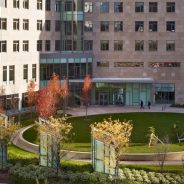 Sloan Fellows