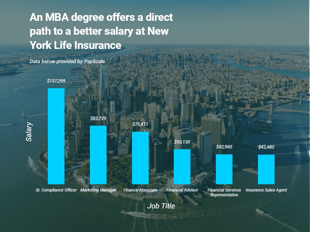 new york life careers