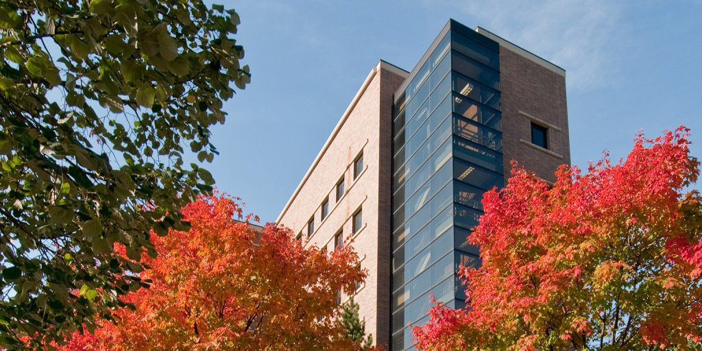 university of michigan mba online