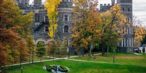 Arcadia University School of Global Business