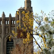 Eli Broad College of Business – Michigan State University