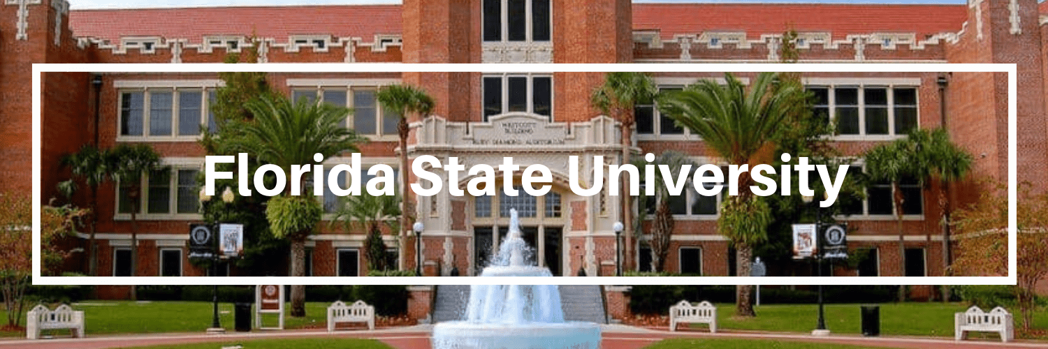 The Top 5 Florida Finance Programs for Business School MetroMBA
