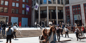 NYU Employment