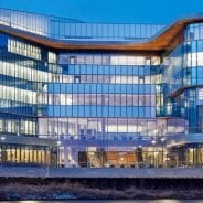 Executive MBA