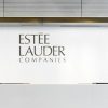 Estée Lauder career