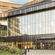 Executive MBA